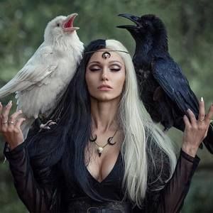 Meet your Posher, Sue